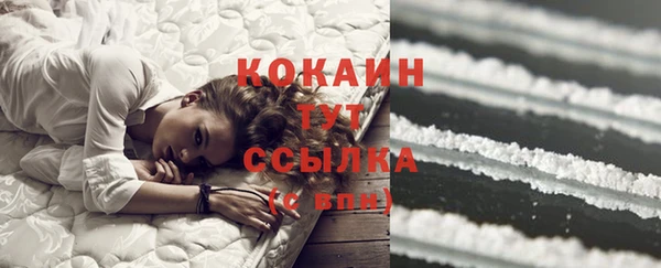 ECSTASY Новозыбков
