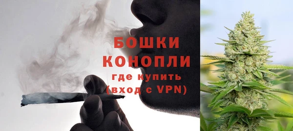 ECSTASY Новозыбков