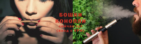 ПСИЛОЦИБИНОВЫЕ ГРИБЫ Новодвинск
