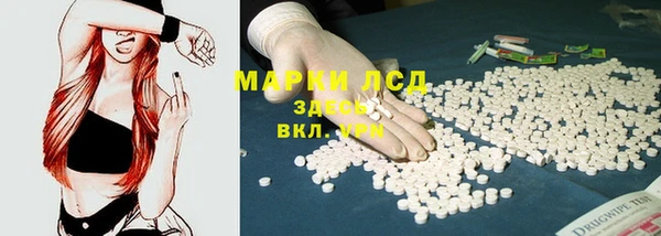 ECSTASY Новозыбков
