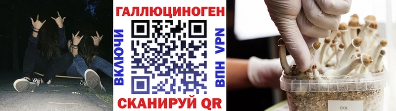 Галлюциногенные грибы ЛСД Казань