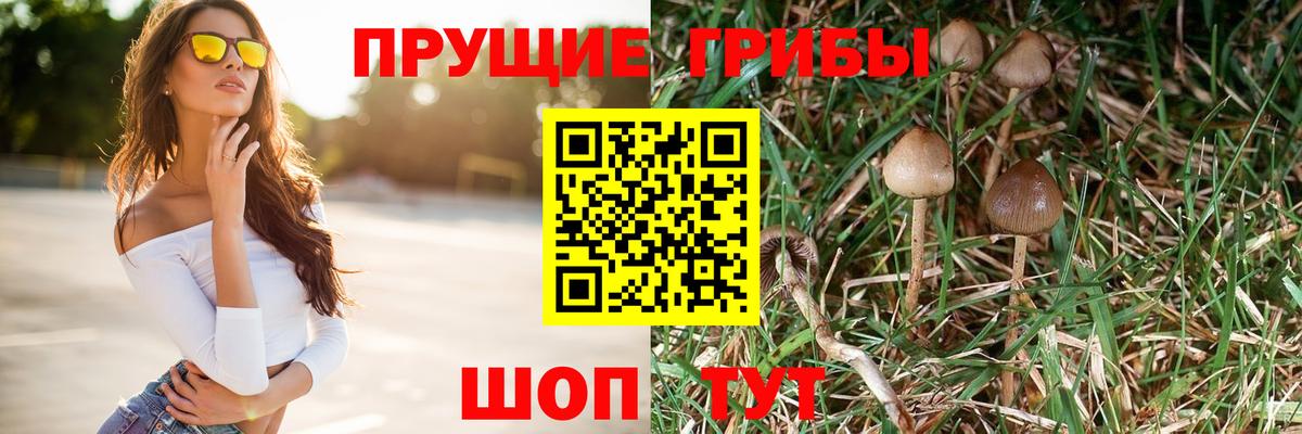 Галлюциногенные грибы Psilocybe  Вход с VPN  Казань 