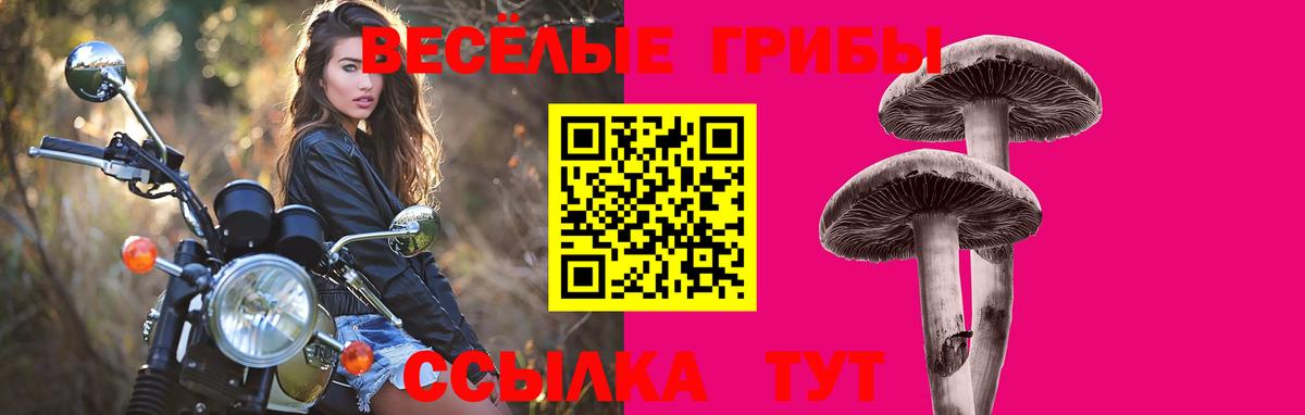 Галлюциногенные грибы мицелий Казань